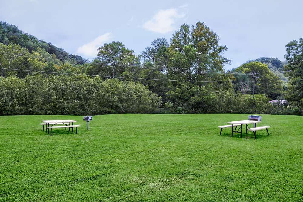 Open green space with picnic tables surrounded by trees and a clear sky at Paint Landing in Stambaugh, Kentucky