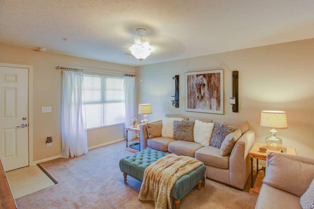 Cozy living room with plush sofa, decorative pillows, and natural light from large window at Pennington Crossing in Johnson City, Tennessee