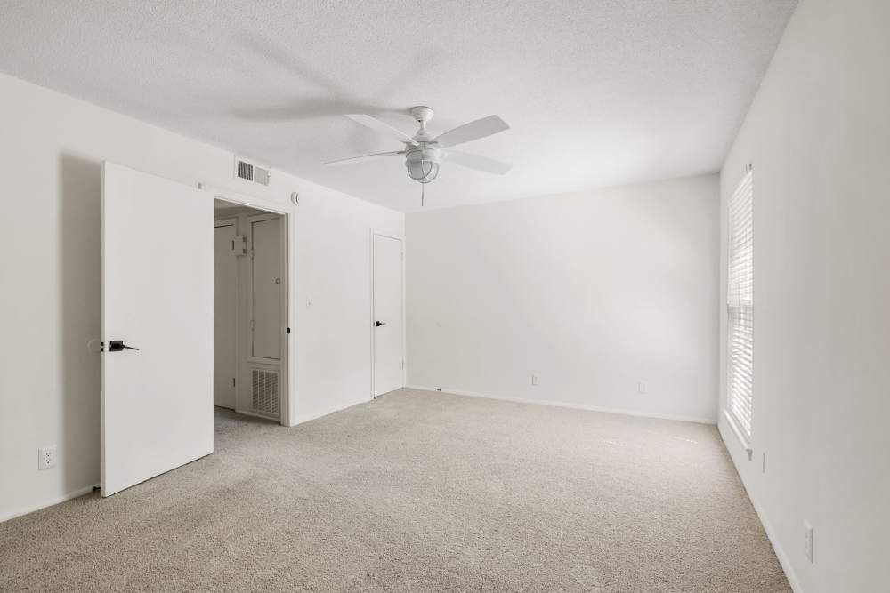 Large bedroom with carpet, white walls, ceiling fan, open utility closet, and window with blinds at Palmetto Square in Charleston, South Carolina  