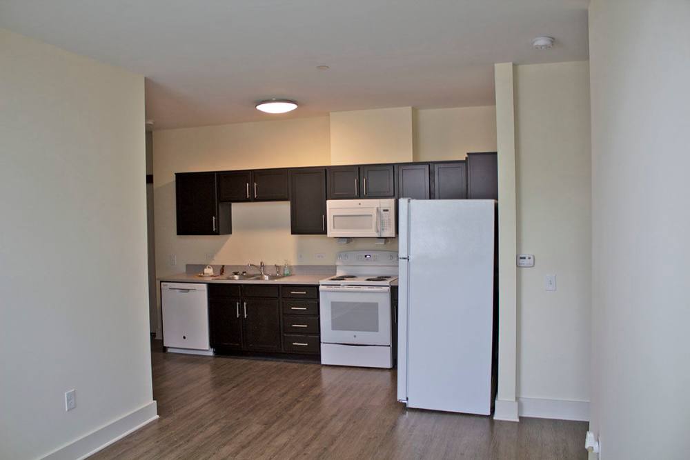 Modern kitchen with stainless steel appliances and wood-style flooring at Lincoln House in Owosso, Michigan