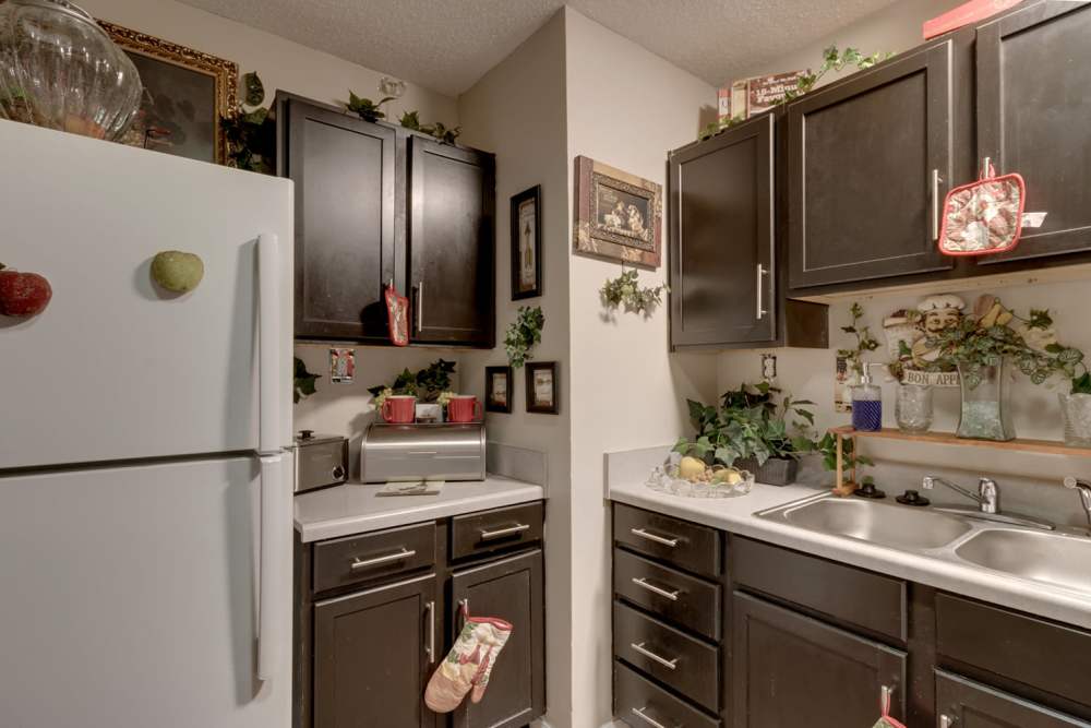 Cozy kitchen with dark cabinets, white countertops, and decorative plants on shelves at 123 Club in Beaufort, South Carolina