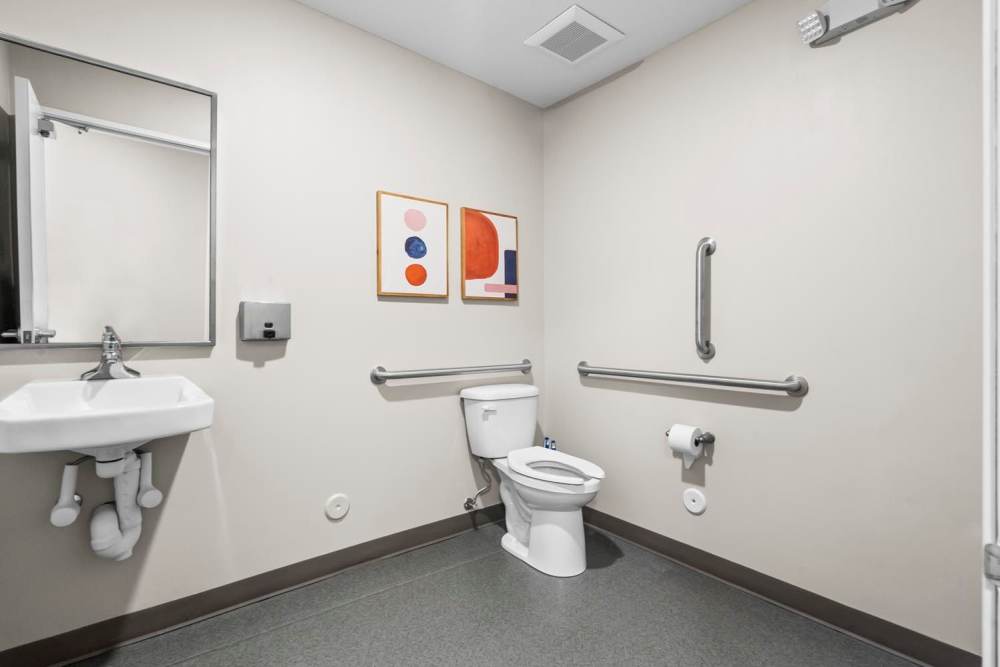 Accessible bathroom with grab bars, sink, and modern artwork on the wall at Chandler Pointe in Wilton, Iowa