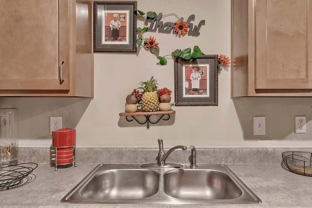Kitchen with stainless steel sink and decorative wall accents at Lowcountry Crossing in Denmark, South Carolina