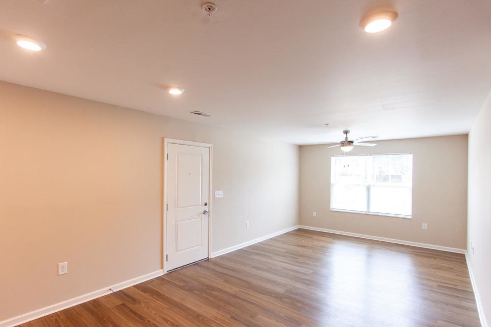 Spacious living room with wood-style flooring and ceiling fan, large window providing natural light at Palatine Meadows in New Bern, North Carolina