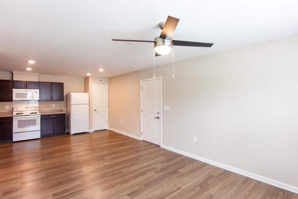 Open layout apartment with wood-style flooring, stainless steel appliances, and dark cabinetry at Palatine Meadows in New Bern, North Carolina
