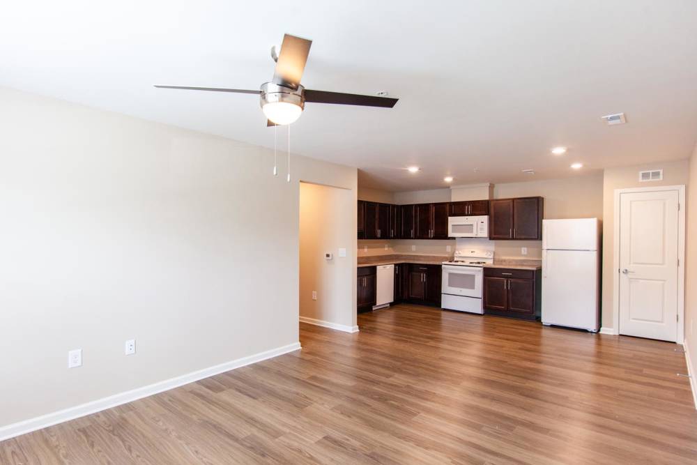 Open layout living area with wood-style flooring and modern kitchen featuring dark cabinets and stainless steel appliances at Palatine Meadows in New Bern, North Carolina