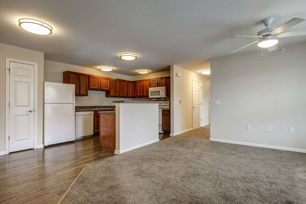 Open layout with wood-style flooring, kitchen featuring granite countertops and stainless steel appliances at Seaborn Greene in Bamberg, South Carolina