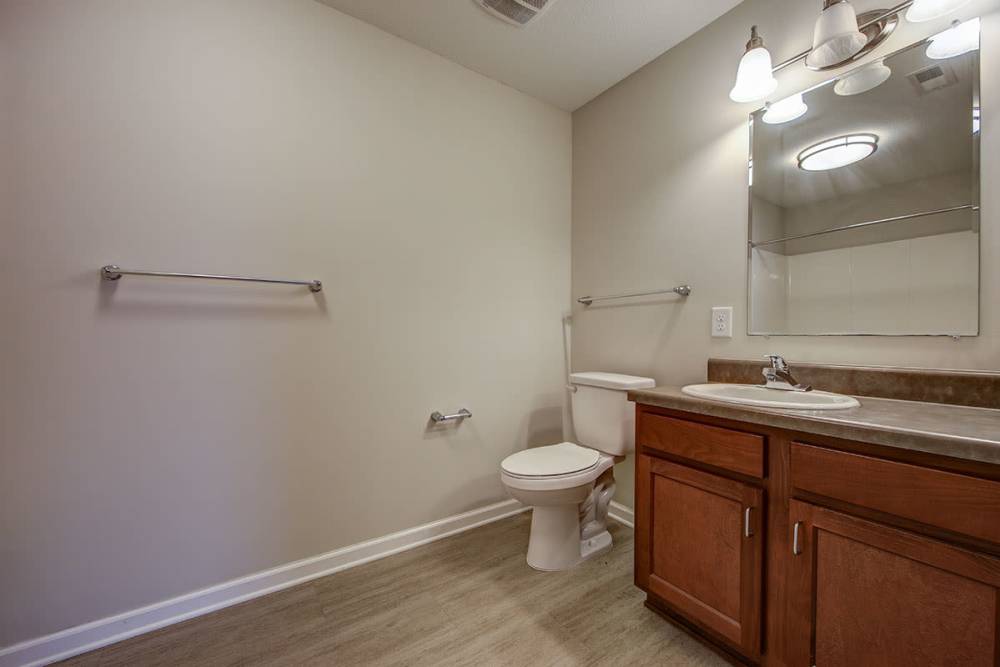 Spacious bathroom with wood-style flooring, modern vanity, and ample natural light at Seaborn Greene in Bamberg, South Carolina