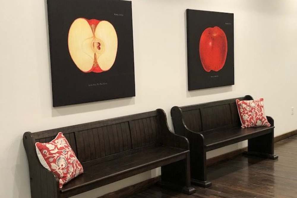 Two wooden benches with decorative pillows against a white wall featuring apple artwork at Portland School in Portland, Michigan