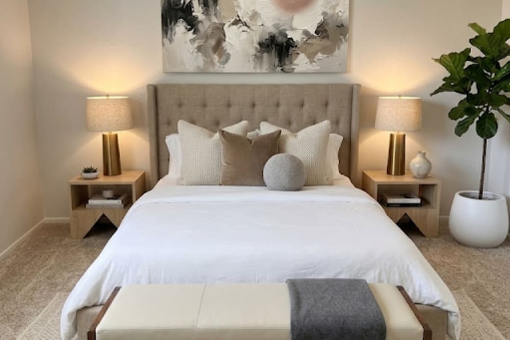 Spacious 1 bedrooms