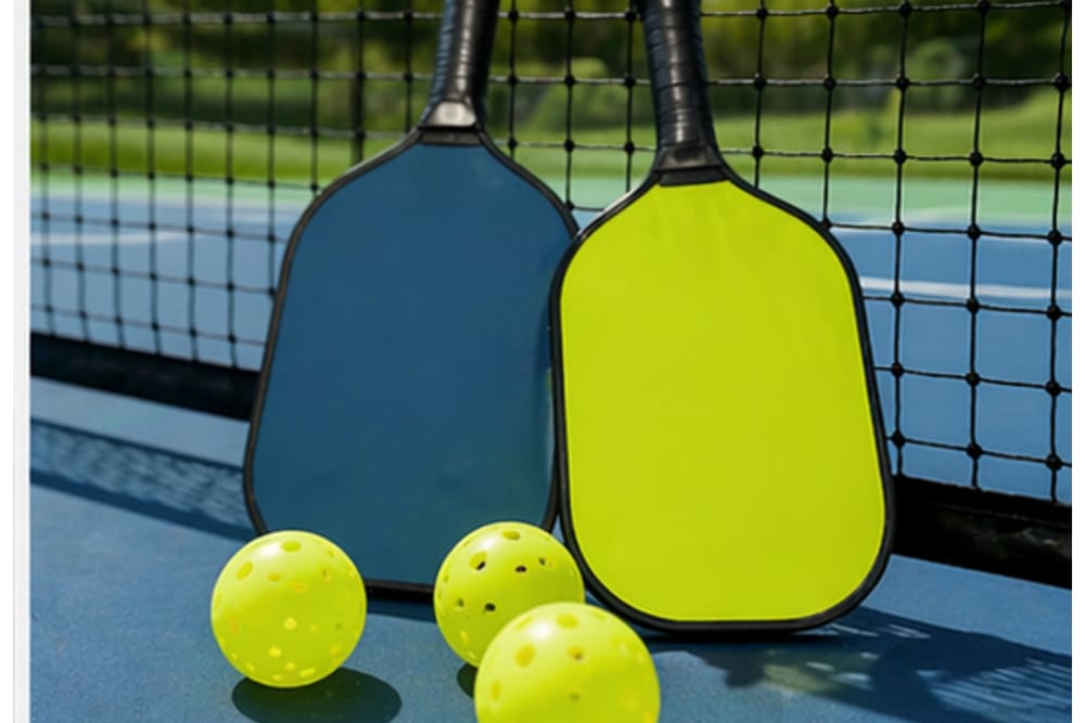 Pickle Ball 