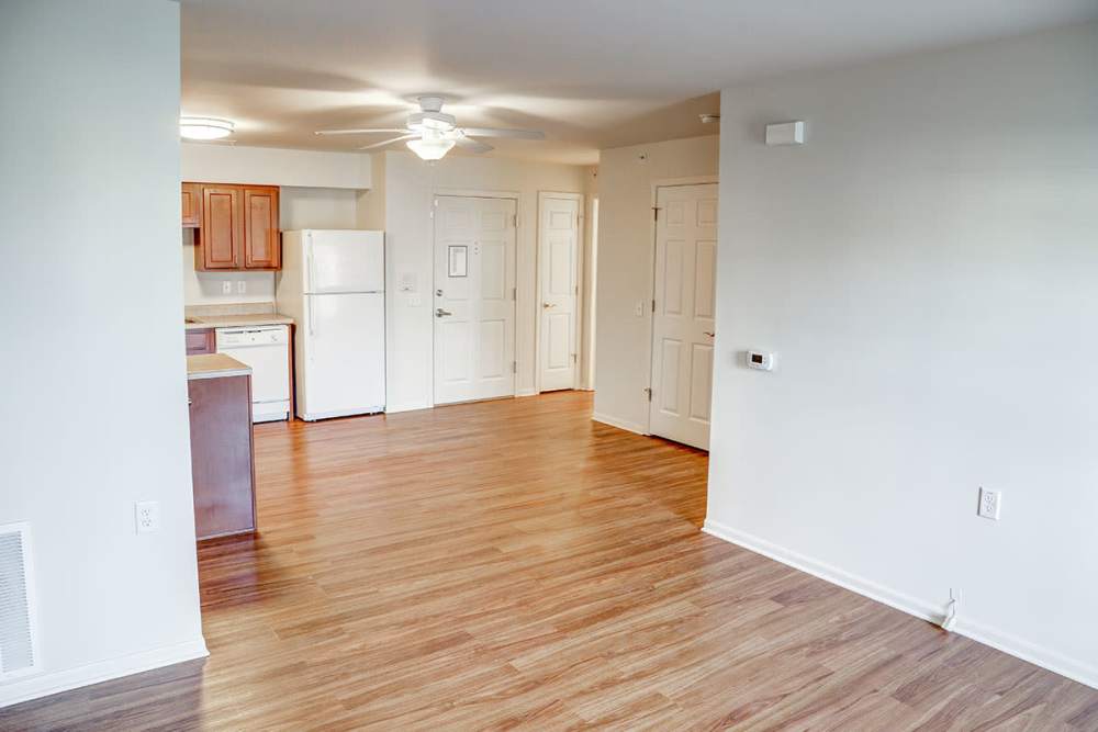 Open layout with wood-style flooring and kitchen featuring stainless steel appliances at Hayden House in Springfield, Ohio