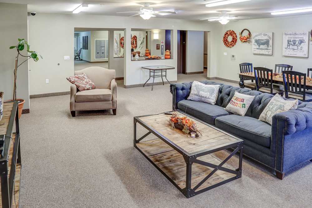 Cozy community lounge with plush seating and decorative accents at Hayden House in Springfield, Ohio