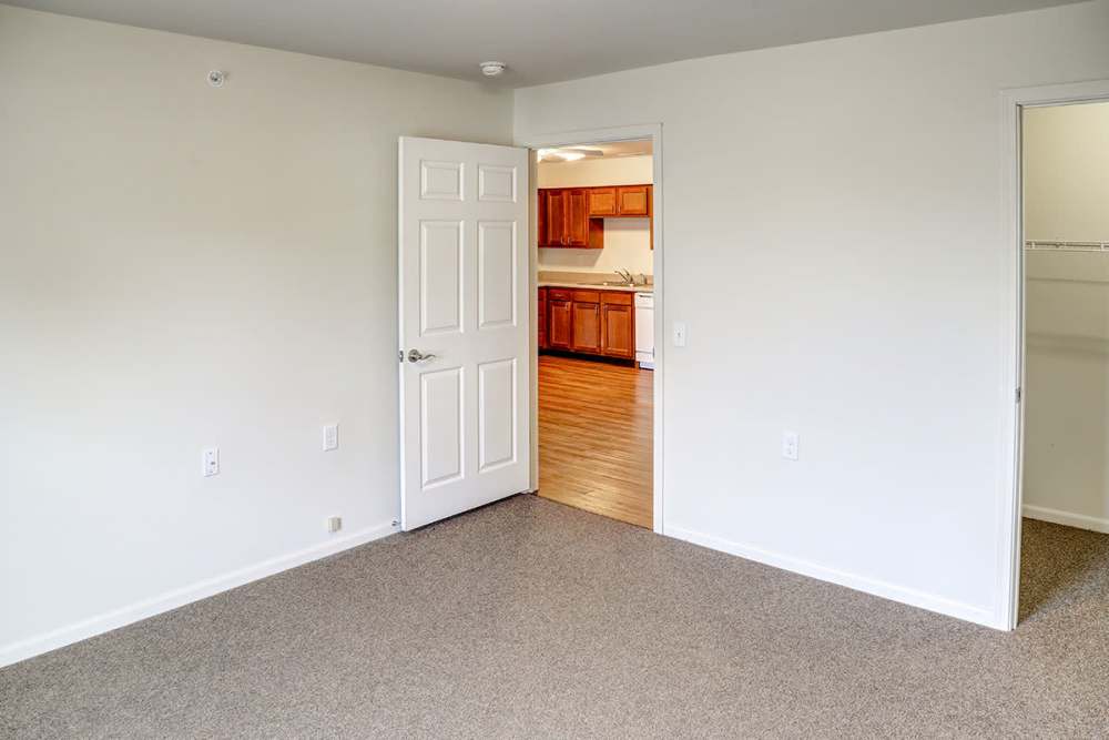 Spacious living area with carpet flooring and open kitchen at Hayden House in Springfield, Ohio
