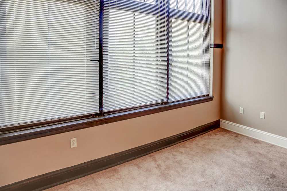 Carpeted room with large windows at Washington School Apartments in Washington Court House, Ohio