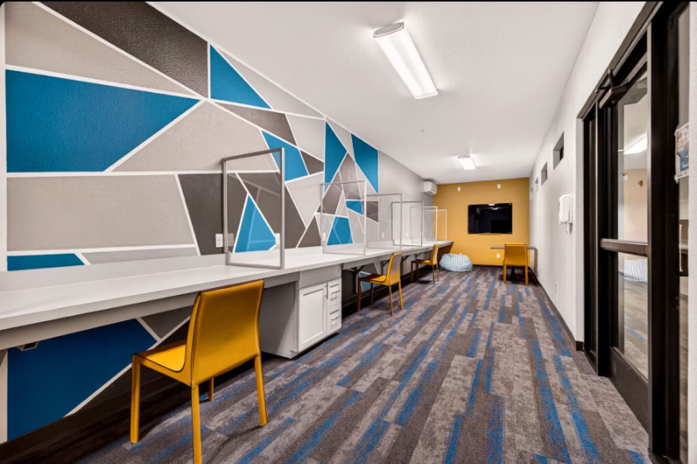 Study area: Modern study space with individual desks, geometric accent wall, yellow chairs, and glass entry door at Cedar Flats in Chico, California  