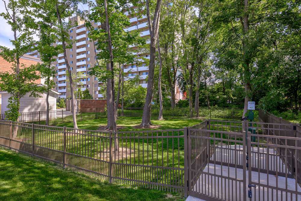 Dog park with multiple trees at Willoughbeach Terrace Senior Living in Willowick, Ohio 