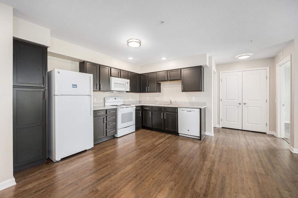 Modern kitchen with granite countertops, stainless steel appliances, and wood-style flooring at Grand View Place in Grand Rapids, Michigan