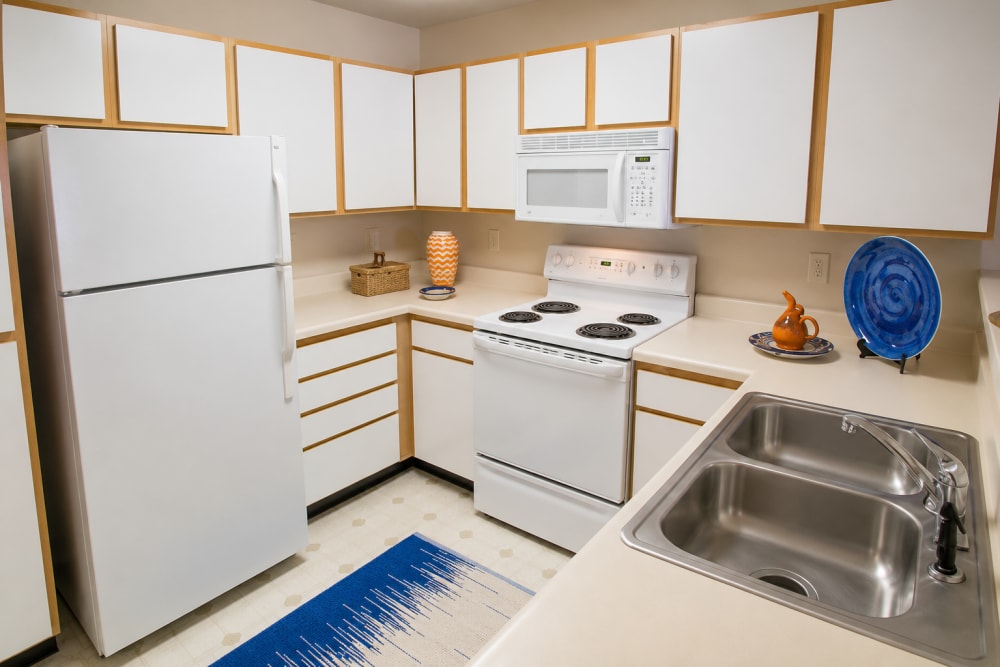 Fully equip kitchen at Reserve at Jacksonville Commons in Jacksonville, North Carolina