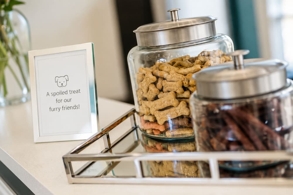 Dog treats at the clubhouse at Reserve at Jacksonville Commons in Jacksonville, North Carolina