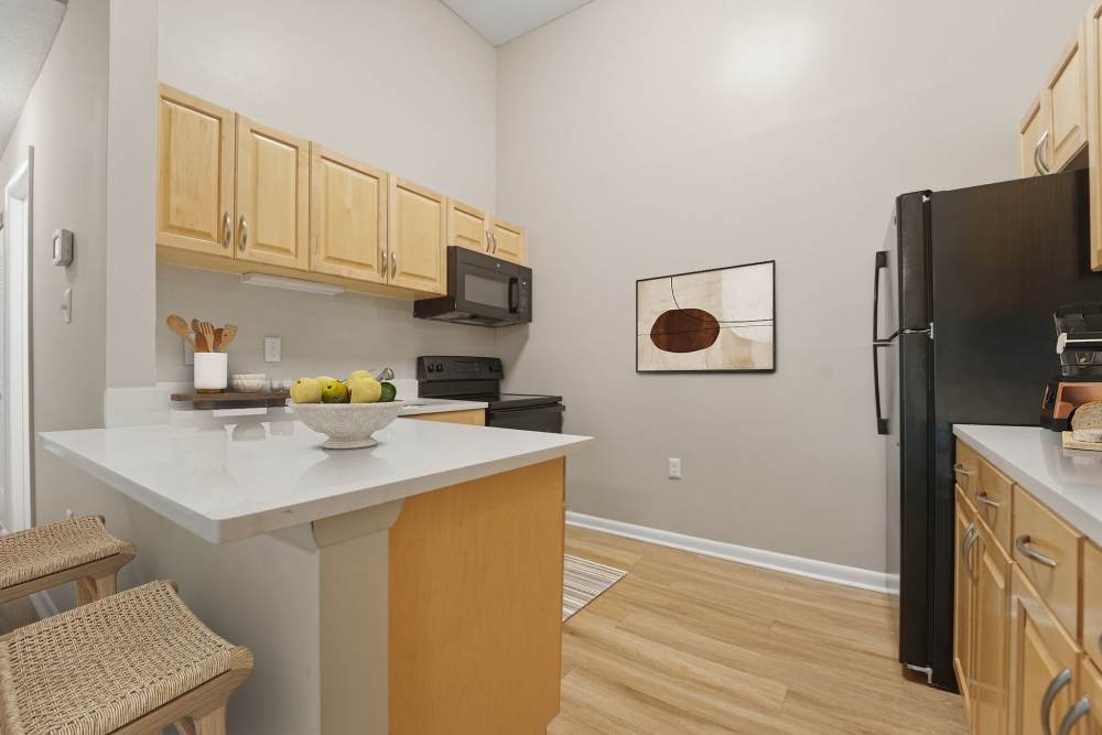 Modern kitchen with granite countertops at Eagle Rock Apartments at Abingdon in Abingdon, Maryland
