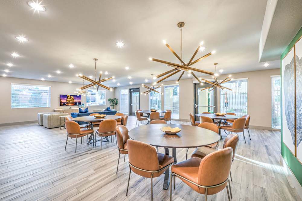 Photo Gallery | Capriccio in Las Vegas, Nevada