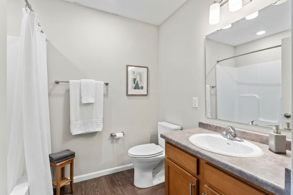 Furnished bathroom at Blackhawk Commons in Sheridan. IN