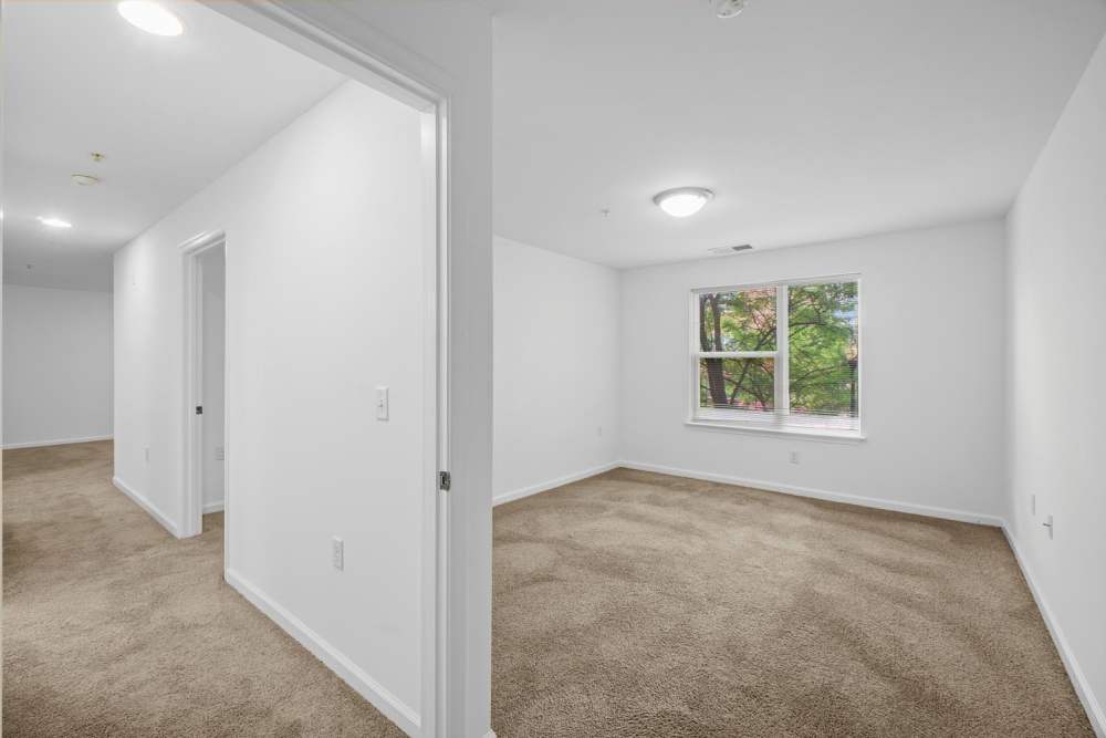 Spacious carpeted living area with large window at Penn Square I in Baltimore, Maryland