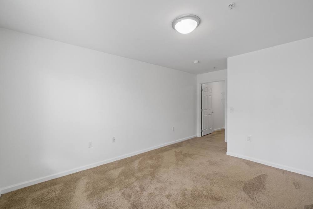 Carpeted bedroom at Penn Square I in Baltimore, Maryland