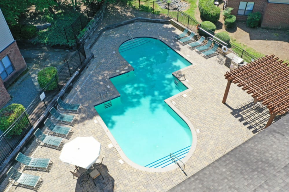 Resort-style pool with lounge chairs at Niner Woods in Charlotte, North Carolina