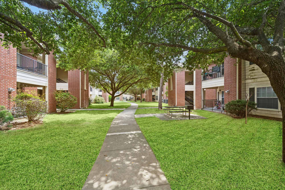 Sidewalk with grassy lawn at Montgomery Pines Apartments in Porter, Texas