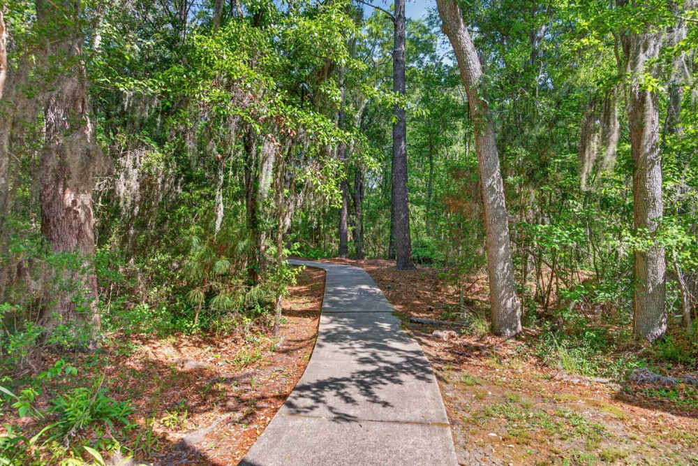 Walking path through lush greenery near Pinecrest Greene in Charleston, South Carolina
