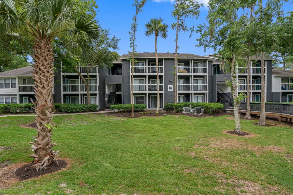 Building exterior with palm trees at Lake Forest in Daytona Beach, Florida