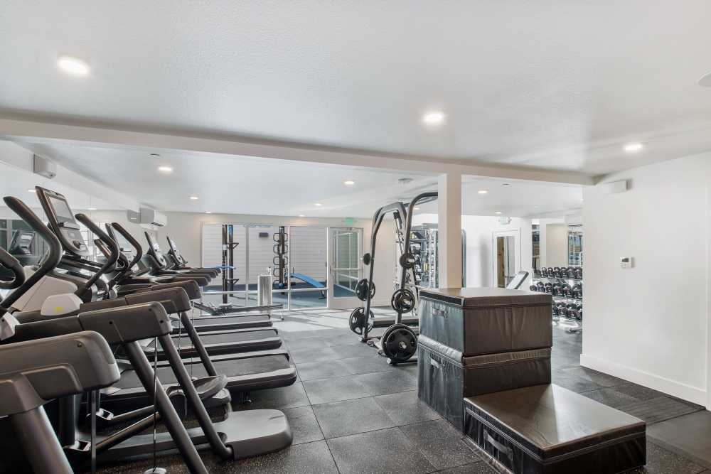 Fitness center with cardio machines at 707 Leahy in Redwood City, California
