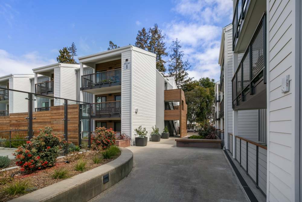 Modern apartment building with landscaped pathway at 707 Leahy in Redwood City, California
