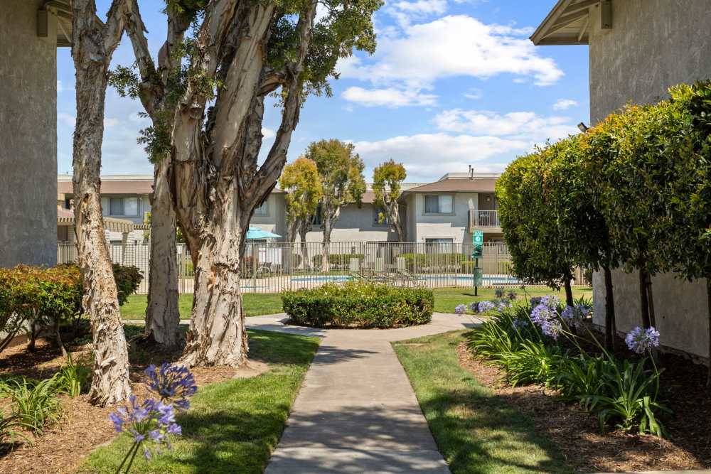 Nature walkway at Strada Apartments in Orange, California
