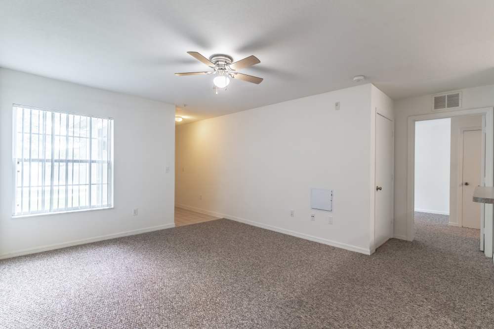 Spacious living area with ceiling fan at Newport Sound Apartments in New Smyrna Beach, Florida