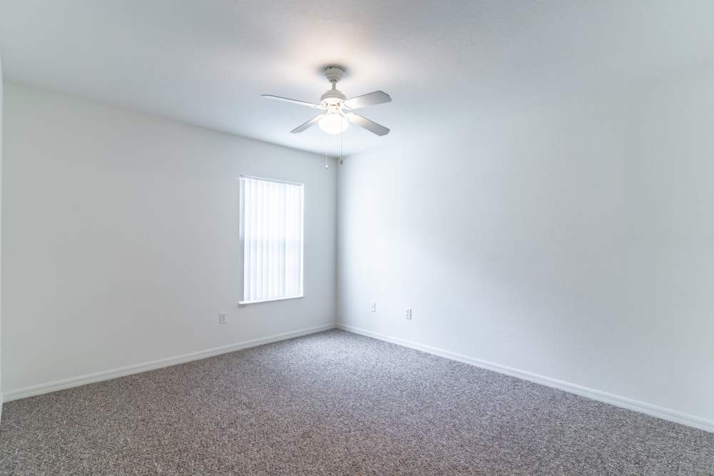 Carpeted bedroom with window at Newport Sound Apartments in New Smyrna Beach, Florida