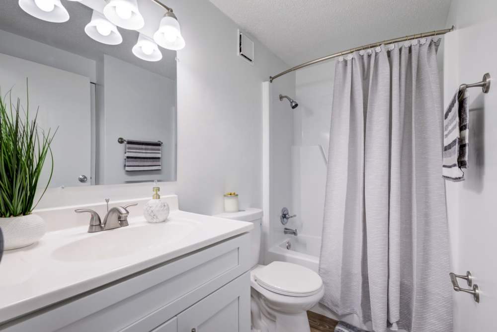 Bathroom at Winthrop Court Apartments in Frankfort, KY