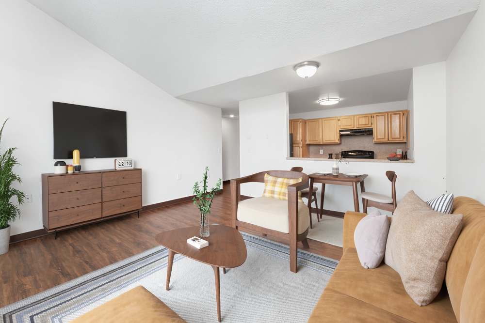 Livingroom and kitchen