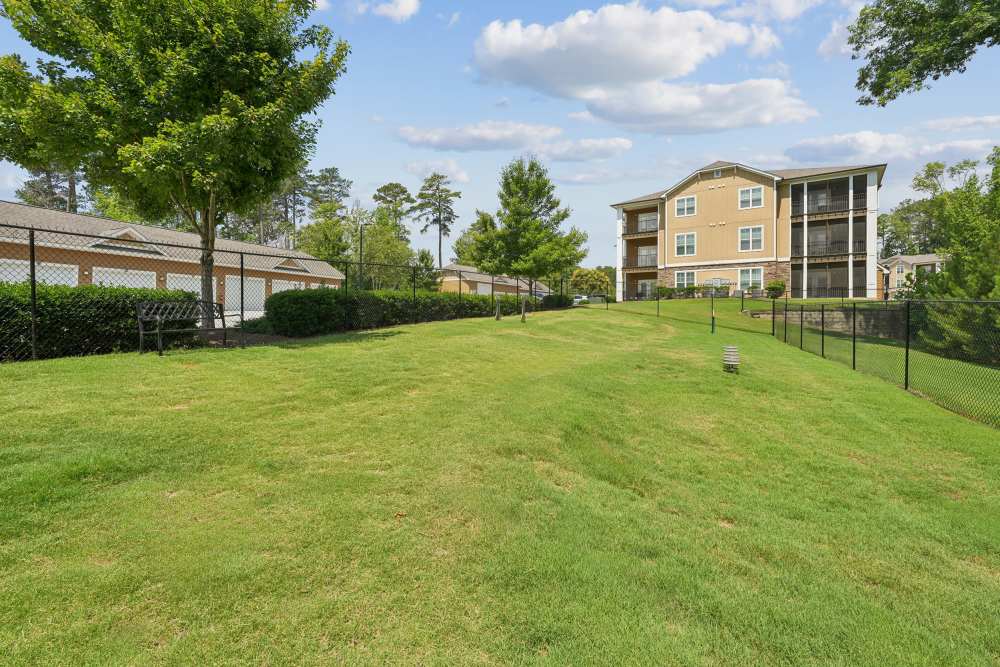 dog park with building in background