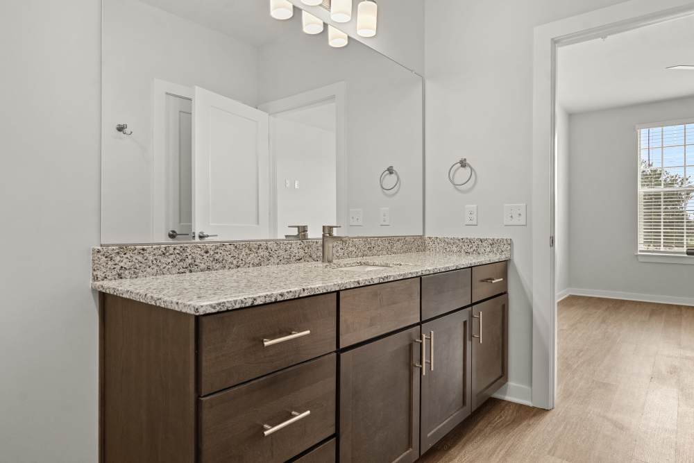 Modern bathroom vanity with wood cabinetry and mirror at The Cascade at Foundry Creek in Richmond, Virginia