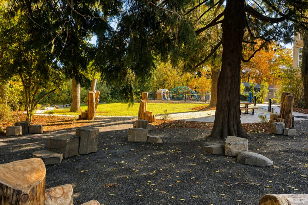 Shaded outdoor picnic and gathering area with paved surface, picnic tables, and surrounding trees at North Main Village in Milwaukie, Oregon  