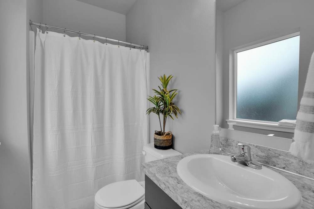 Apartment bathroom with vanity, shower curtain, and frosted window, at Cleveland Crossings in Woodburn, Oregon