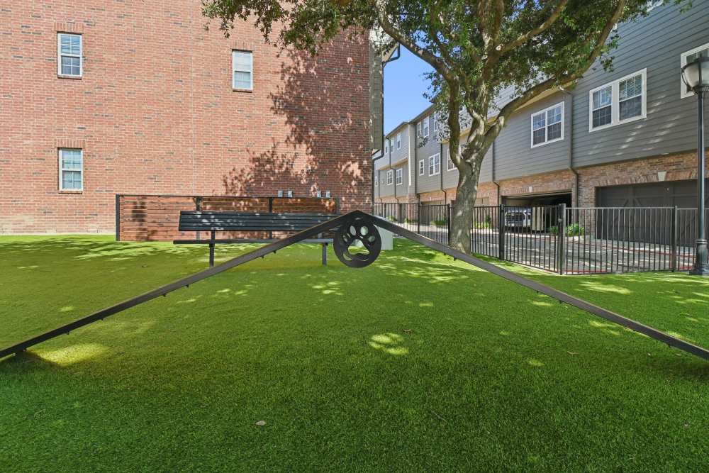dog park