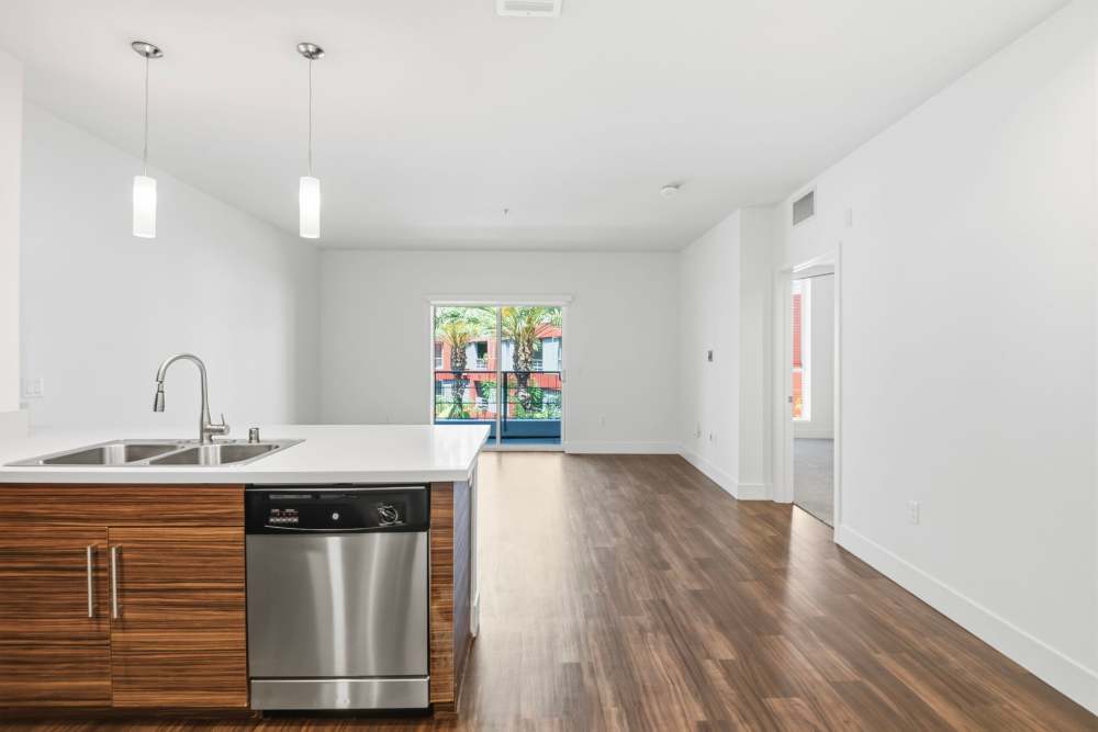 Kitchen and Livingroom