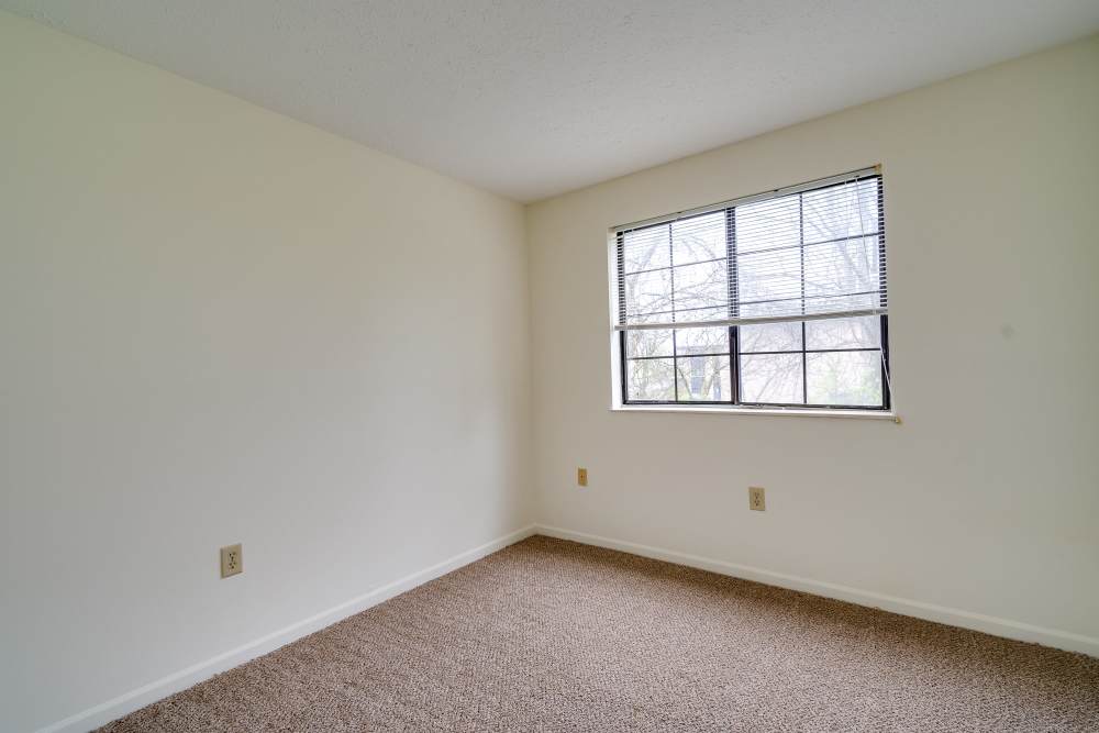 Empty bedroom with carpet and large window at Carriage Court in Cincinnati, Ohio