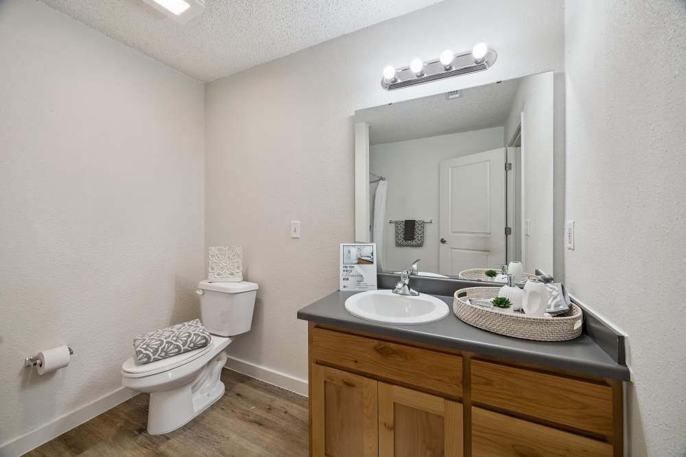 Bathroom at Meadowbrook Plaza in Houston, Texas