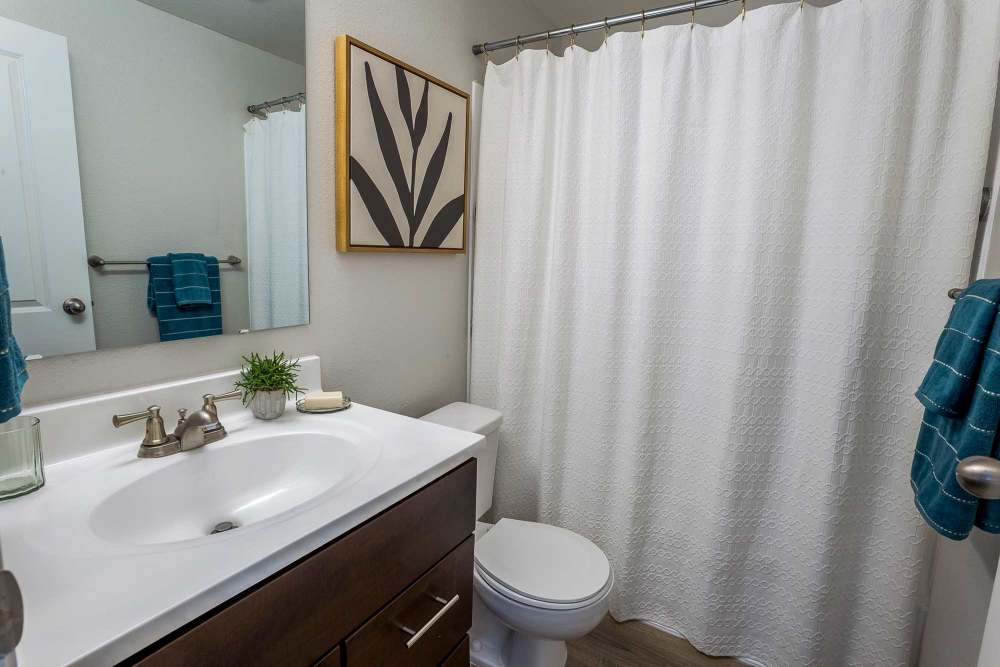 Bathroom at The Park at Cooper Point Apartments in Olympia, Washington