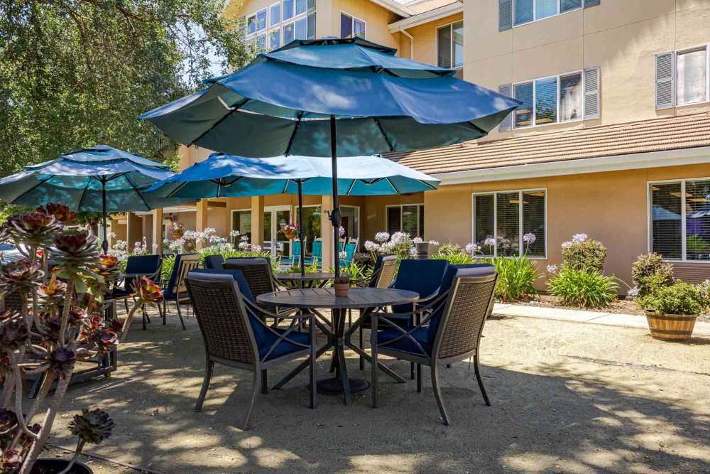 Outdoor patio at Truewood by Merrill, Roseville in Roseville, California